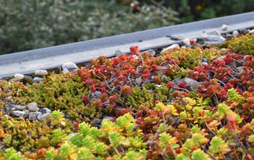 the cost of Newton green roof installation